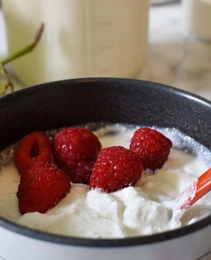 Homemade (Greek) Yogurt