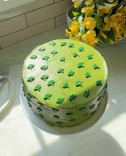 Chocolate Matcha Cake