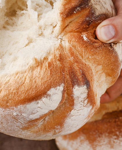 Pão de liquidificador fofinho