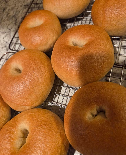 Bakery-Style Plain Bagels  High Protein • Added Fiber • No Dairy