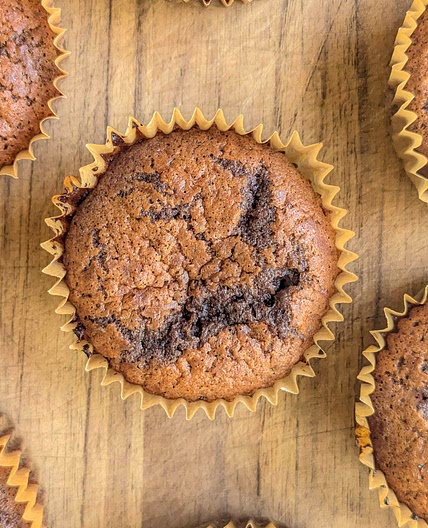 Chocolate Protein Muffins
