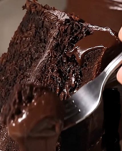 Rich delicious chocolate cake 