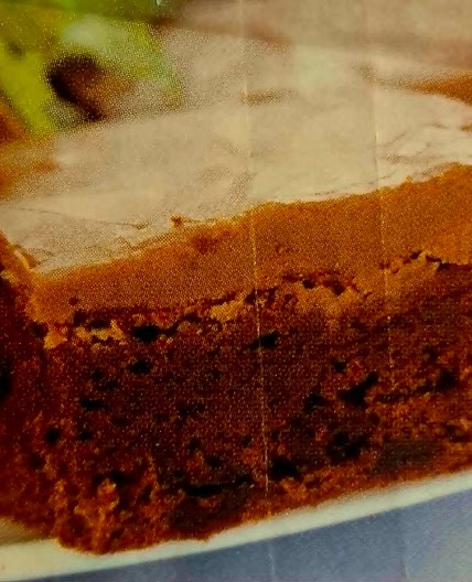 CHOCOLATE PEPPERMINT TRAY-BAKE SLICE - Riley loves