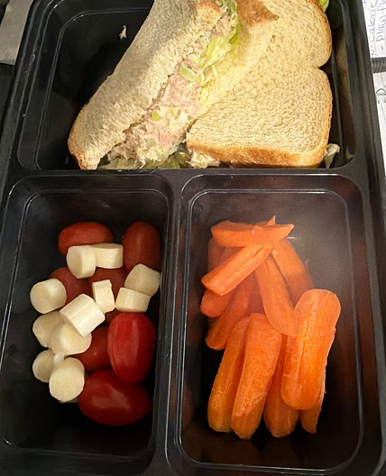 Low Carb Tuna Sandwich w/ Veggies