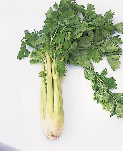 Cream of Celery Soup