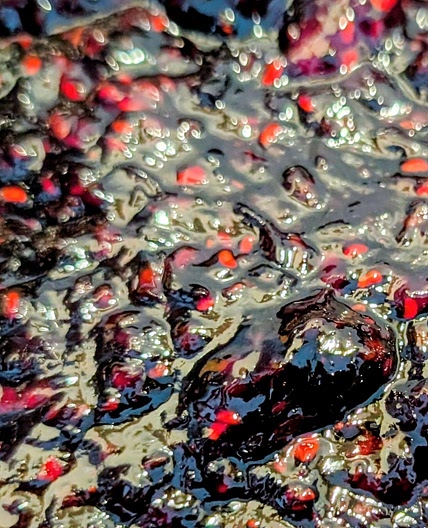 Mixed Berries Fire Jam