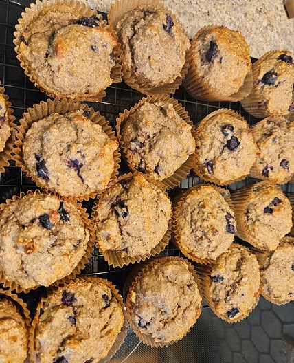 Blueberry oat and walnut protein muffins