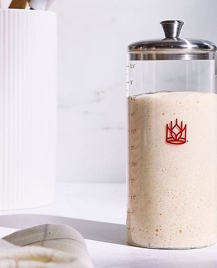 Sourdough Starter