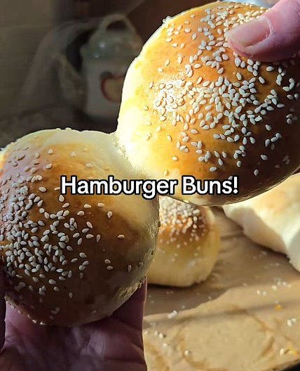 Hamburger buns