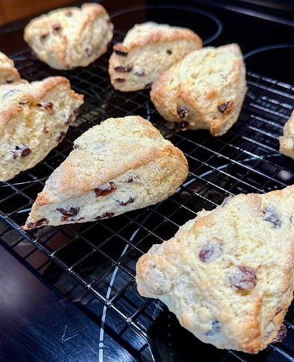 Newman Welsh Scones