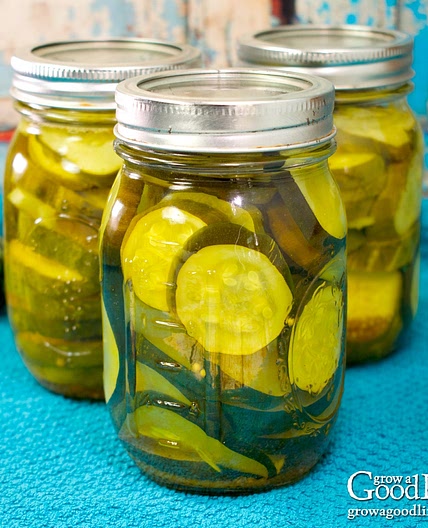 Bread and Butter Zucchini Pickles Canning Recipe