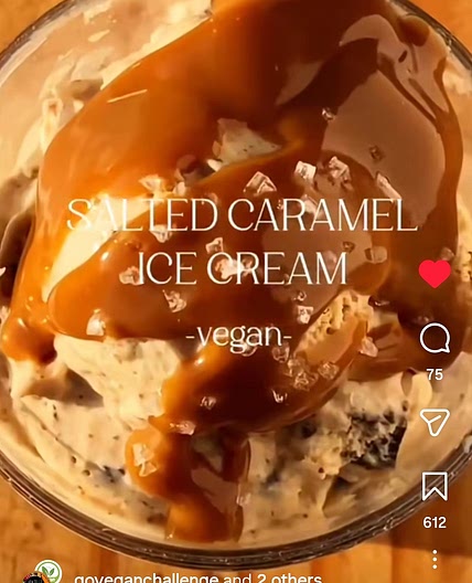 Vegan Salted Caramel Icecream