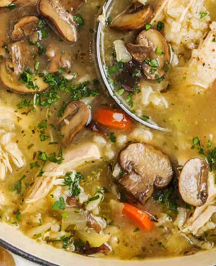Chicken and Mushroom Soup