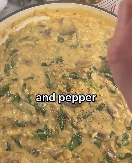 Cheesy Mushroom Orzo