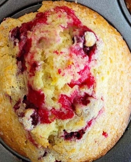 High Protein Cranberry Orange Muffins