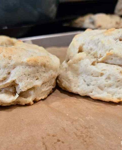 Flaky Buttermilk Biscuits from Scratch