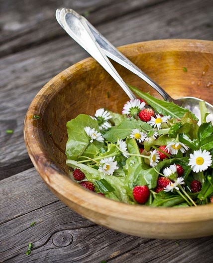 Daisy Salad