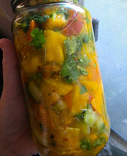 Tropical Refrigerator giardiniera