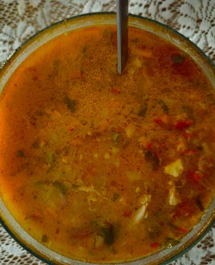 GOLDEN IMMUNE-BOOSTING CHICKEN STEW