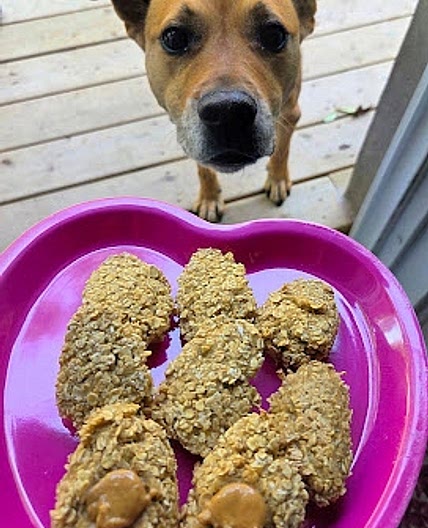 Yummy Oatmeal Applesauce Doggie Cookies