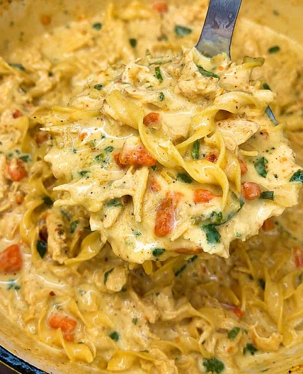 Creamy Chicken Noodle Soup 🍲