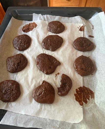 Quest-Style Double Chocolate Protein Cookies