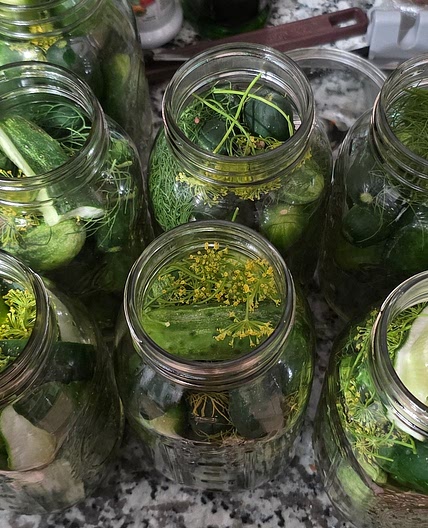 Canned Garlic dill pickles