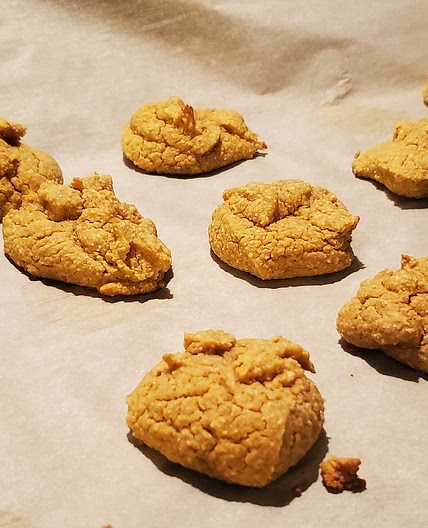Chickpea and Coconut Bites