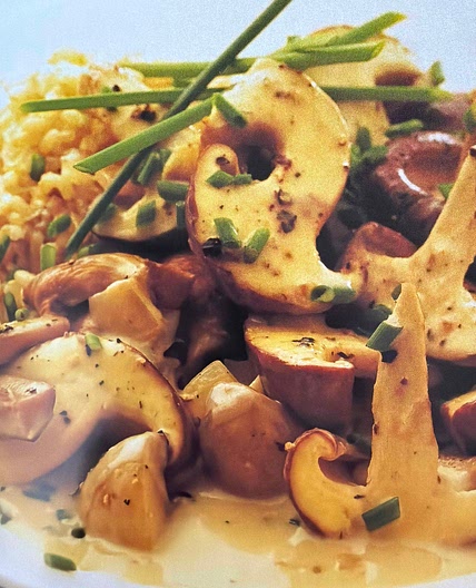 Mushroom Stroganoff