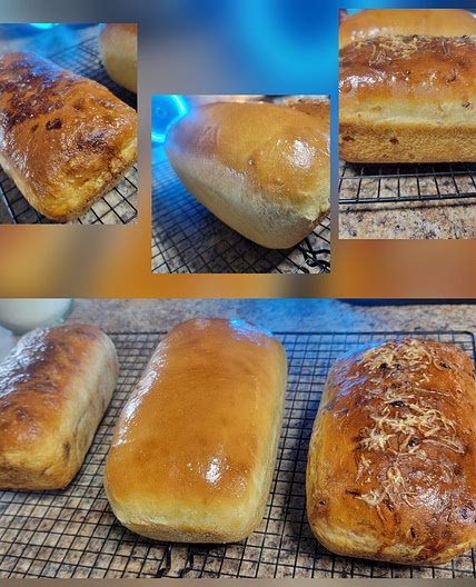 Sourdough Sandwich Bread & Other things...