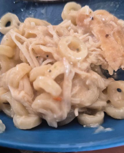Saucy chicken noodles