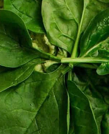 Spinach wrap