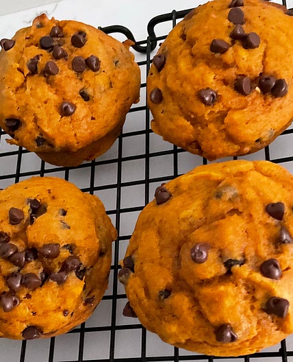 Protein Pumpkin Chocolate Chip Muffins