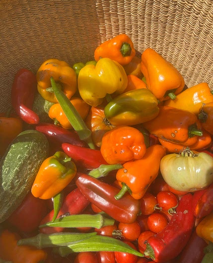 Southern Table Sauce