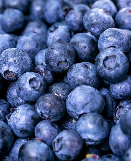 BLUEBERRY SALSA