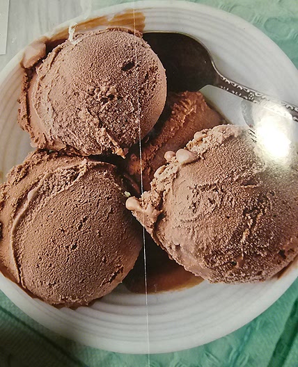 Chocolate ice cream ninja creami