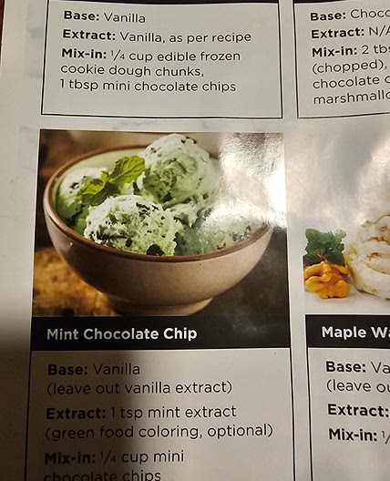 Mint chocolate chip