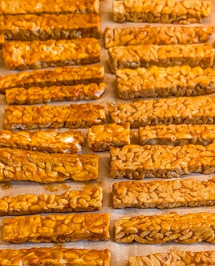 Tempeh Base Batch