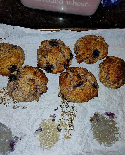 High Protein Blueberry "Muffin" Bagels