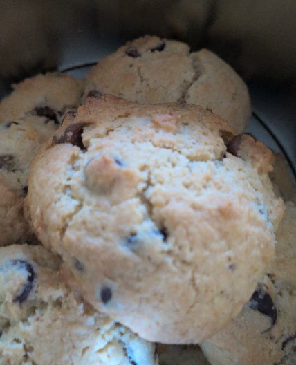 Moist Chocolate Craisin Rock Cakes