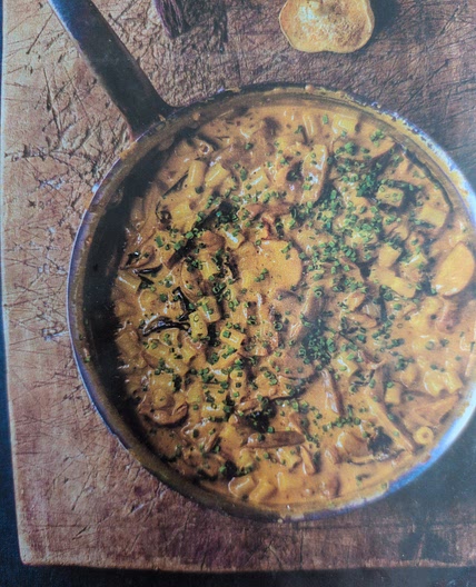Mushroom Ragu