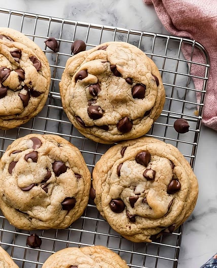 Chocolate chip cookie