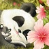 Mana Bri Kazumi