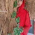 Sadia Afreen