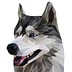 Husky