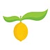 yellowblissroad.com