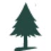thelittlepine.com