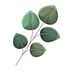 thegreenloot.com