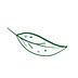healthienut.com