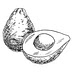 thedashleyskitchen.com